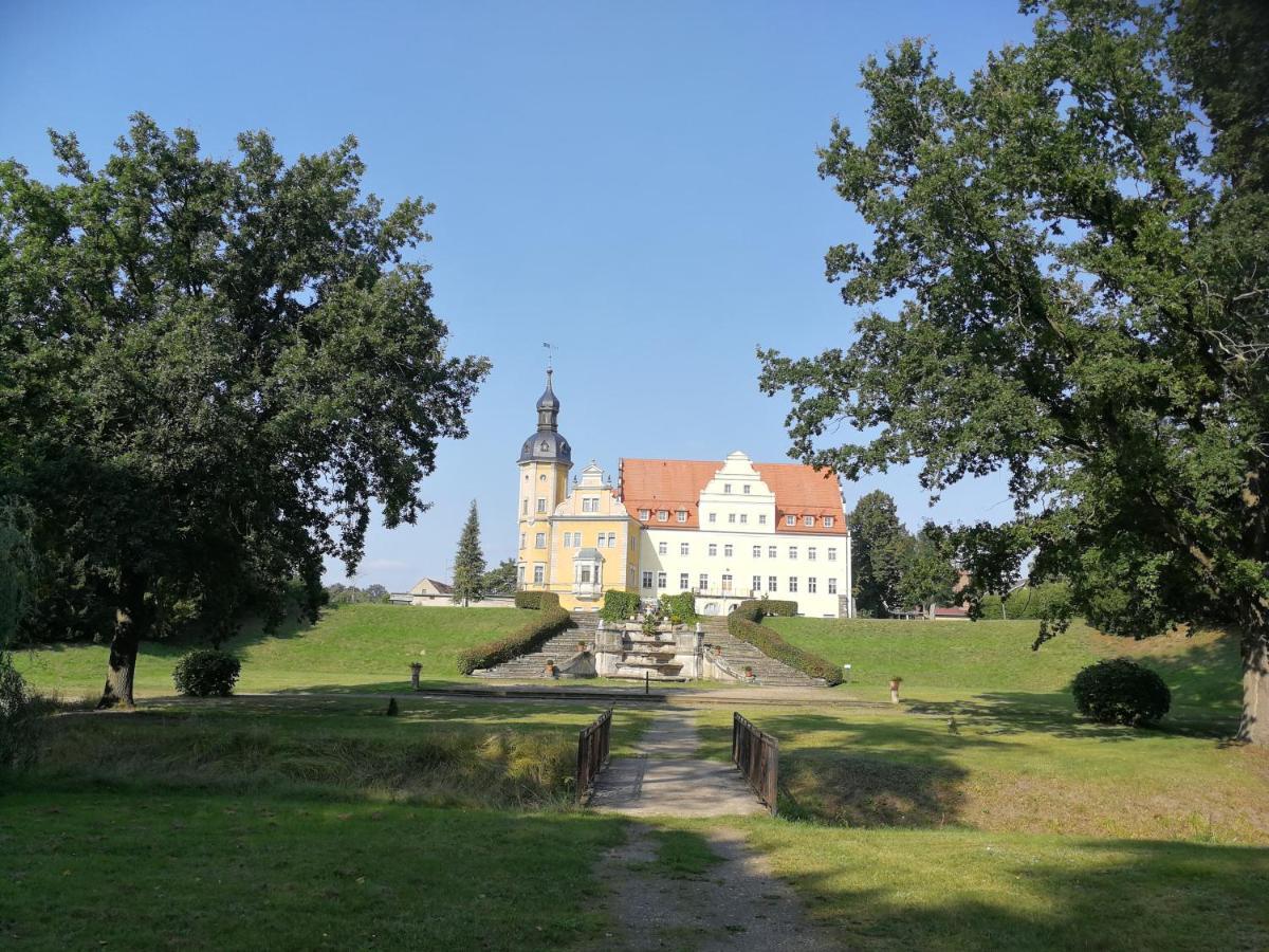 Pension Schlossblick Thallwitz Dış mekan fotoğraf